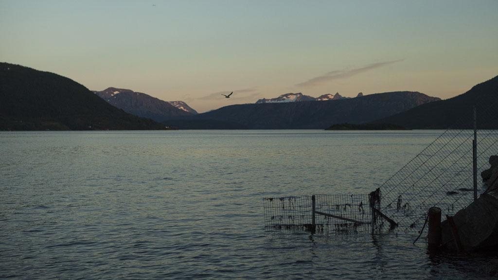 Stetind Hotel Kjopsvik ภายนอก รูปภาพ